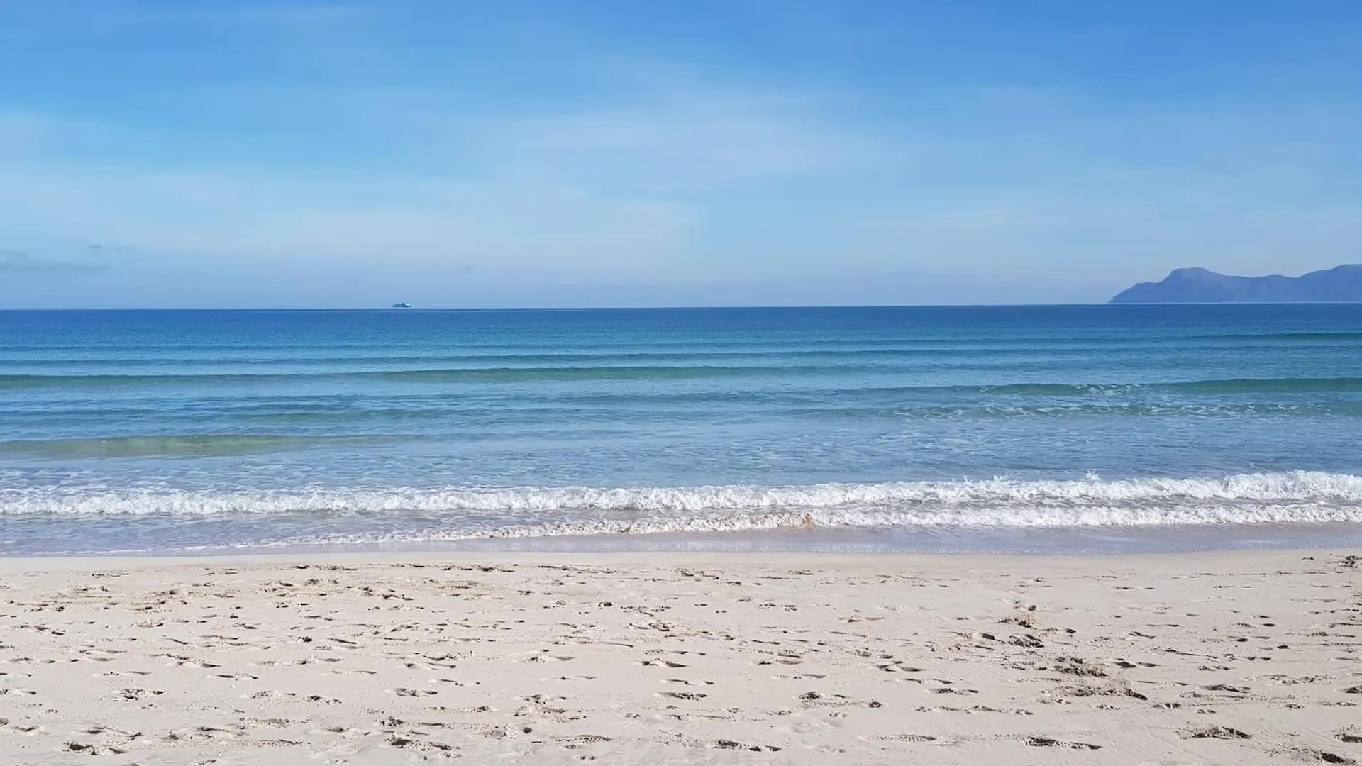 Appartement Ideal Property Mallorca - Portobello Port d'Alcúdia